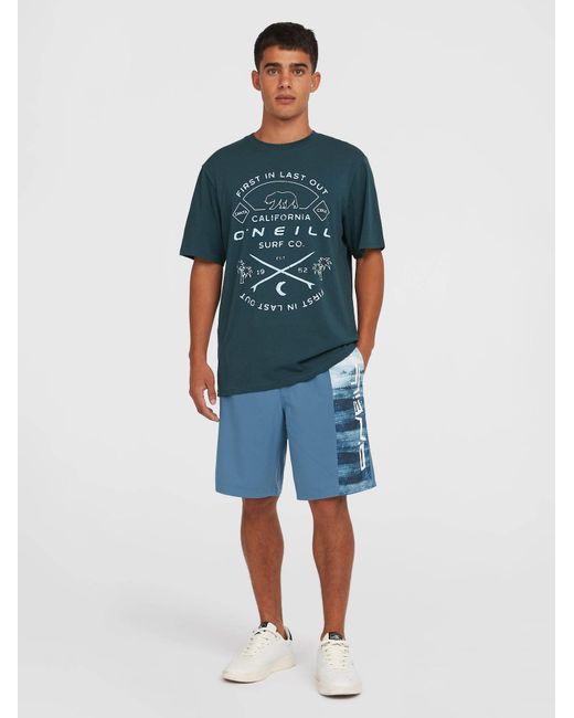 O'neill Sportswear Oneill T-Shirt in Green für Herren