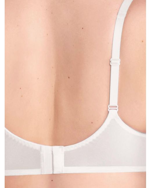 Anita White Bh Rosemary