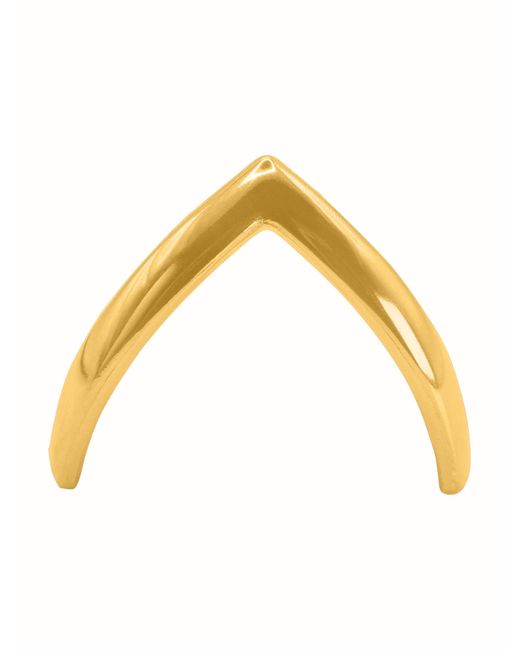 Heideman Metallic Ring Aeca