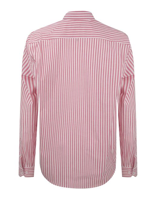 Felix Hardy Hemd in Pink für Herren