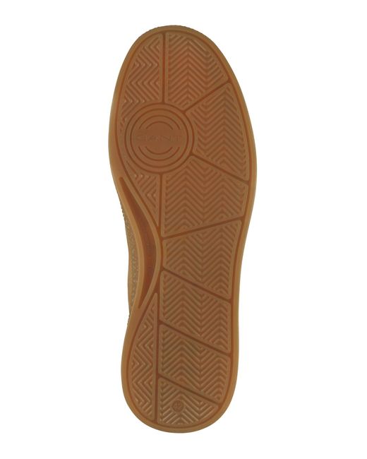 Gant Sneaker Cuzmo in Green für Herren