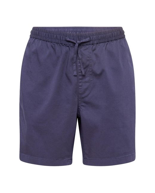 Gant Shorts in Blue für Herren