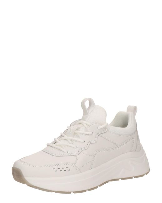 Salamander White Sneaker