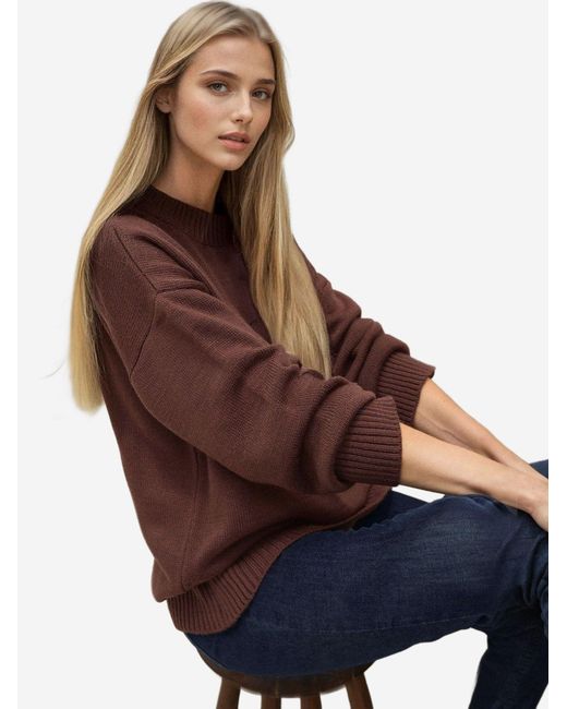 Hiccup Brown Pullover