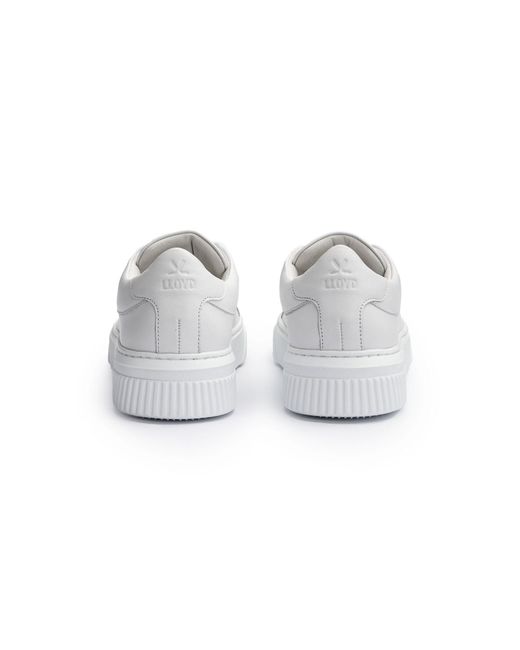 Lloyd White Sneaker Modo