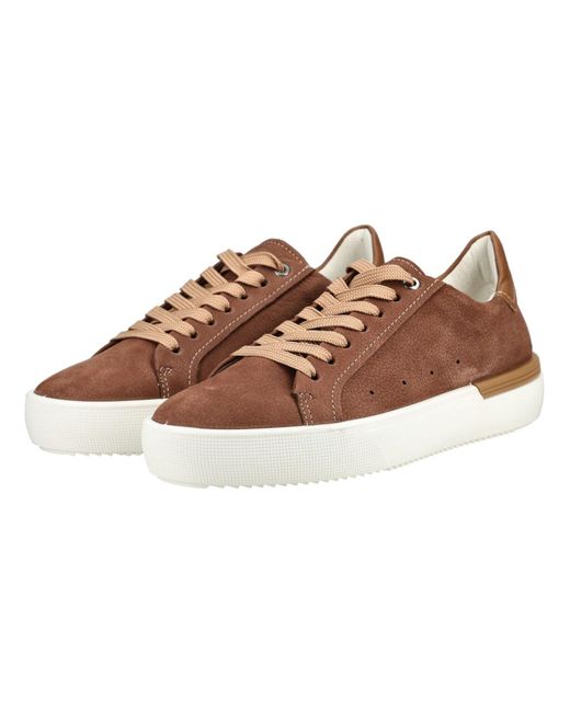 Ara Sneaker in Brown für Herren