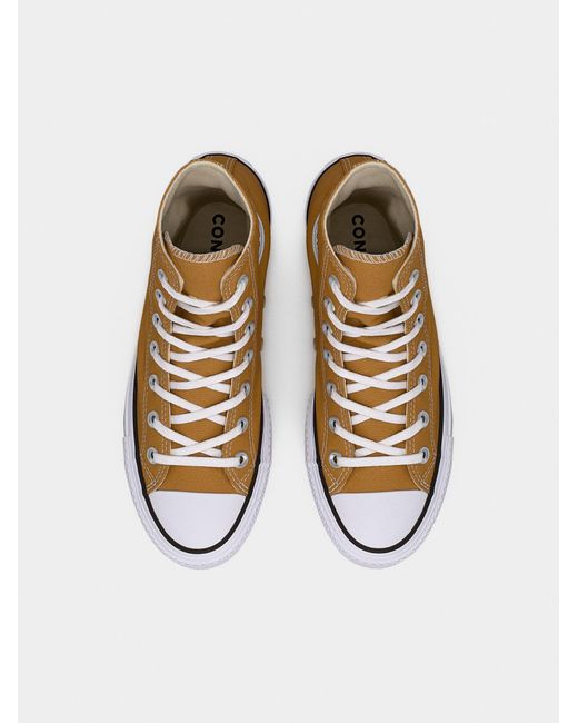 Converse Multicolor Sneaker Ctas