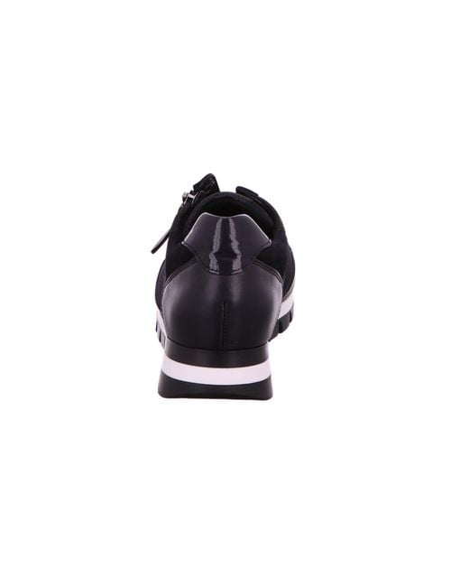 Gabor Blue Sneaker