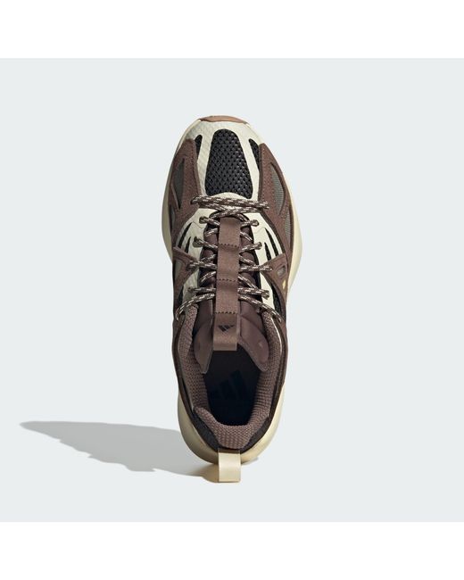 Adidas Brown Sneaker Kantai