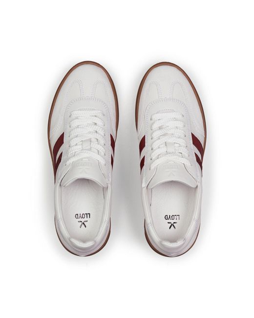 Lloyd White Sneaker Brava