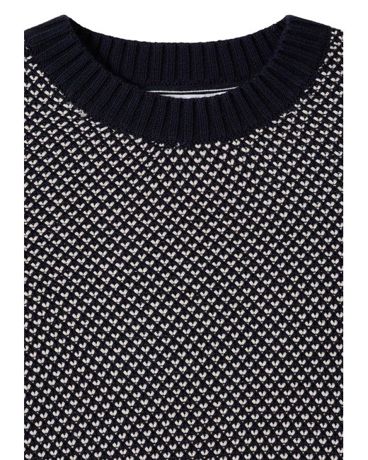 Cecil Black Pullover