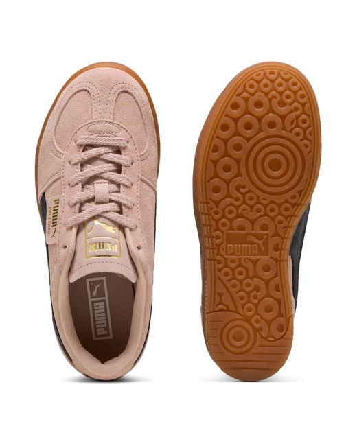 PUMA Brown Sneaker Palermo Elevata
