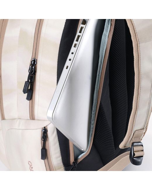 Nitro Rucksack Chase in Gray für Herren