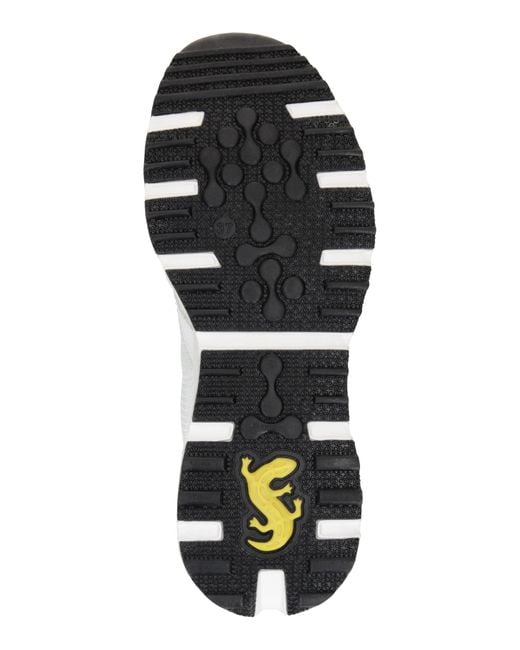 Salamander White Sneaker
