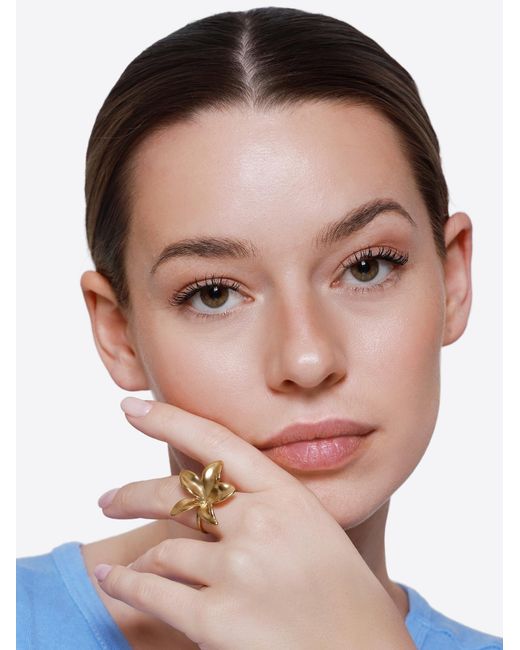 Heideman Metallic Ring