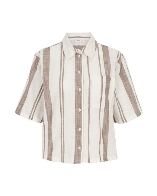 JDY Tall Natural Bluse 'Jdydorthea'