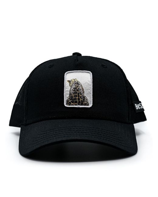 Be52 Black Cap Leopard Premium