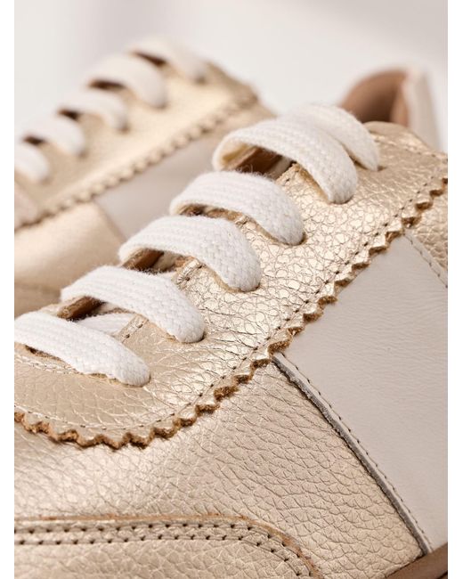 Next Multicolor Sneaker