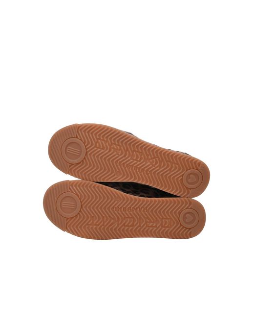CRICKIT Brown Sneaker Tara