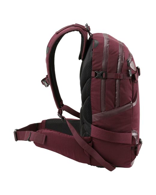 Nitro Rucksack Slash in Purple für Herren