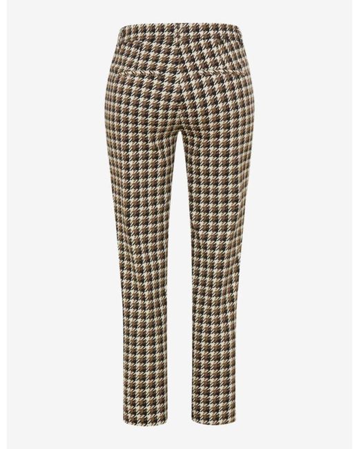 Brax Multicolor Hose Maron S