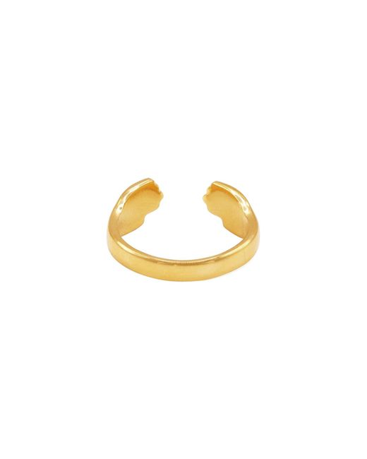 Heideman Metallic Ring Fenia