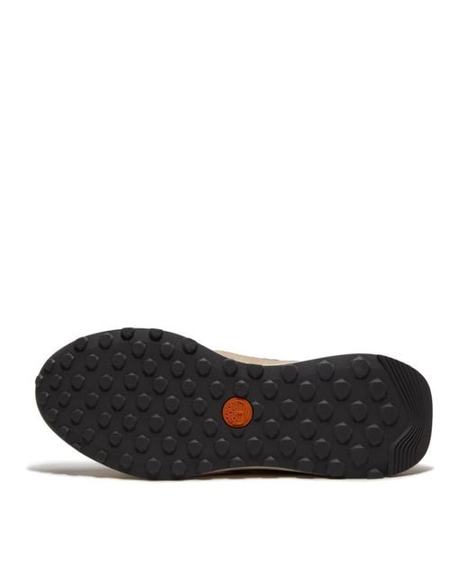 Timberland Multicolor Sneaker
