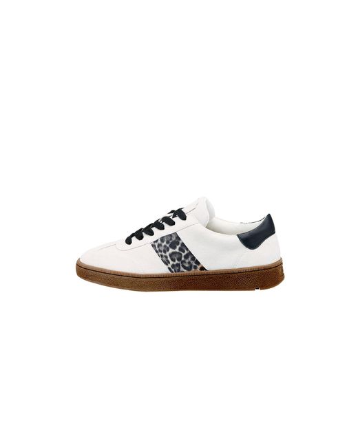 Lloyd White Sneaker Aria