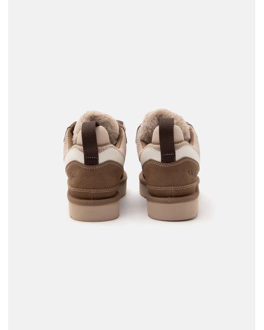 Ugg Brown Sneaker Lowmel