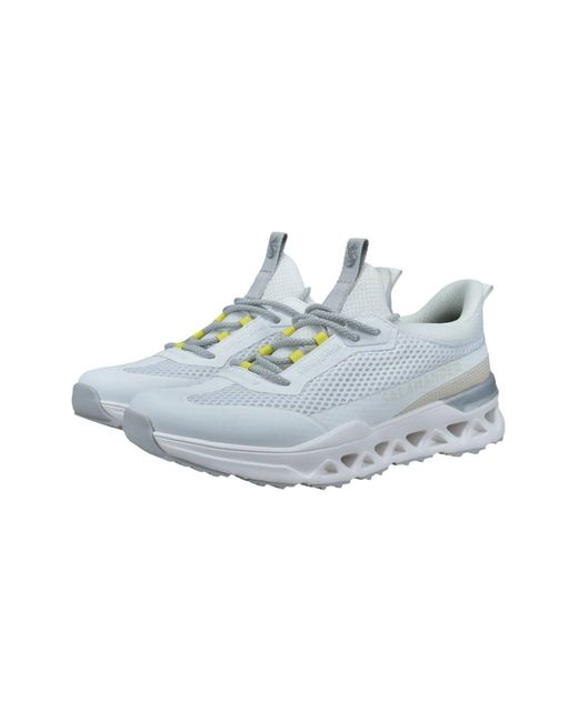 Salamander Blue Sneaker