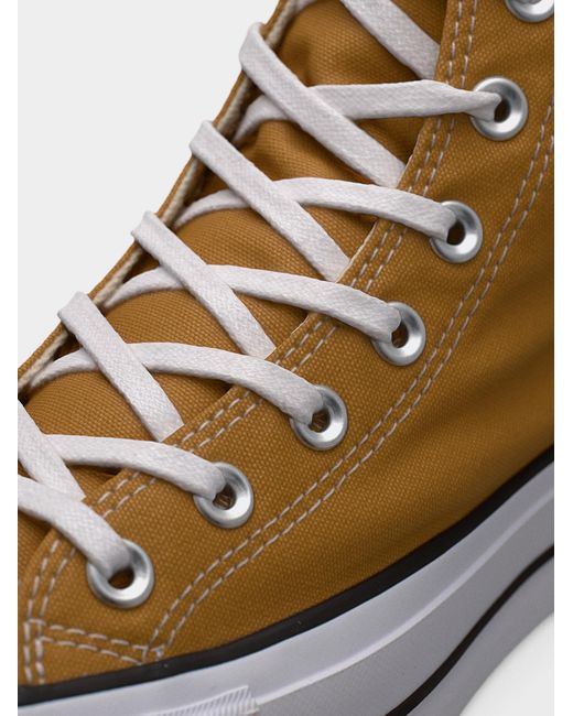 Converse Multicolor Sneaker Ctas