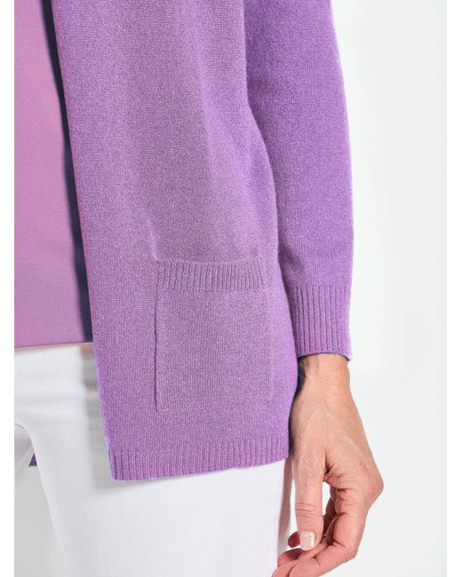 Goldner Purple Pullover