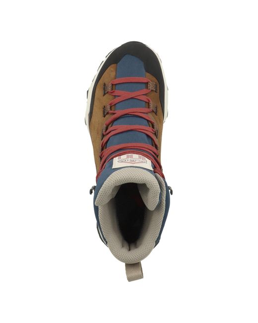 Dachstein Brown Sneaker