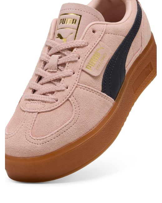 PUMA Brown Sneaker Palermo Elevata