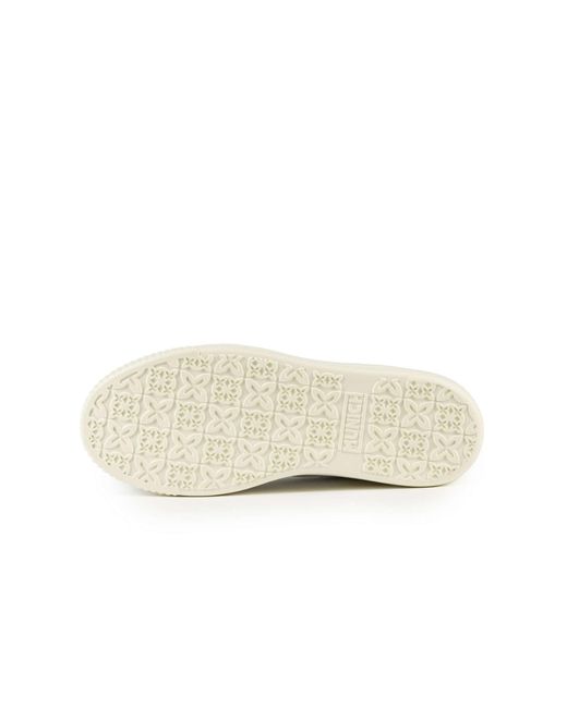 Munich Multicolor Sneaker Suggar