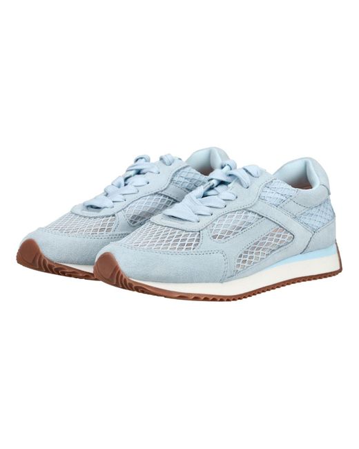Gioseppo Blue Sneaker
