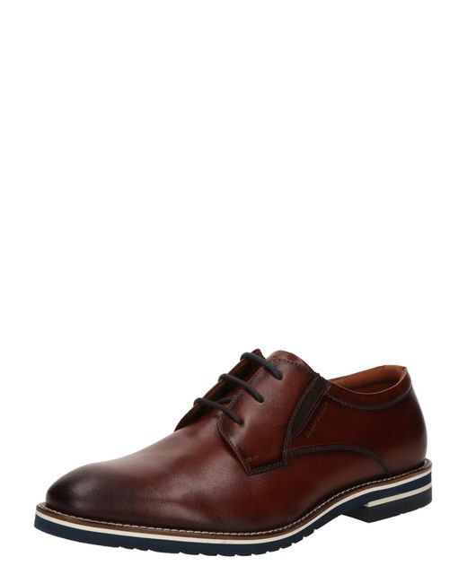 Salamander Schnürschuh in Brown für Herren