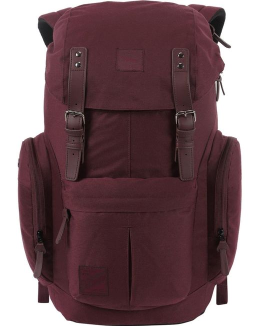 Nitro Rucksack Daypacker in Purple für Herren