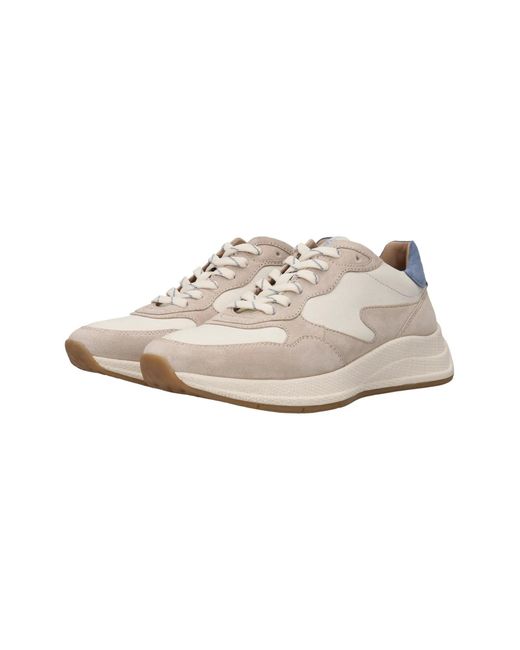 Salamander White Sneaker