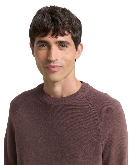 Tom Tailor Pullover in Purple für Herren