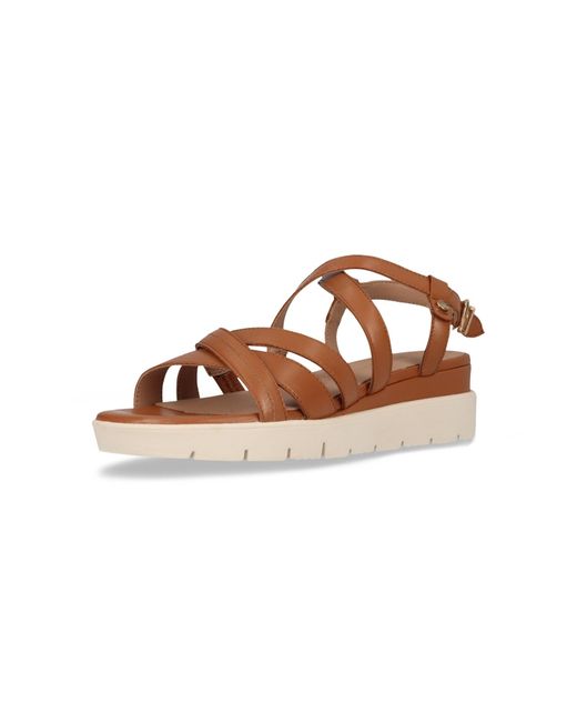 Salamander Brown Sandale