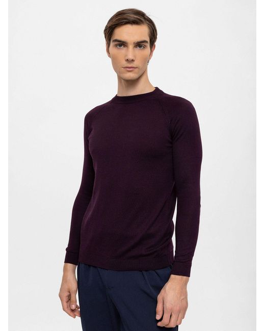 Antioch Pullover in Blue für Herren