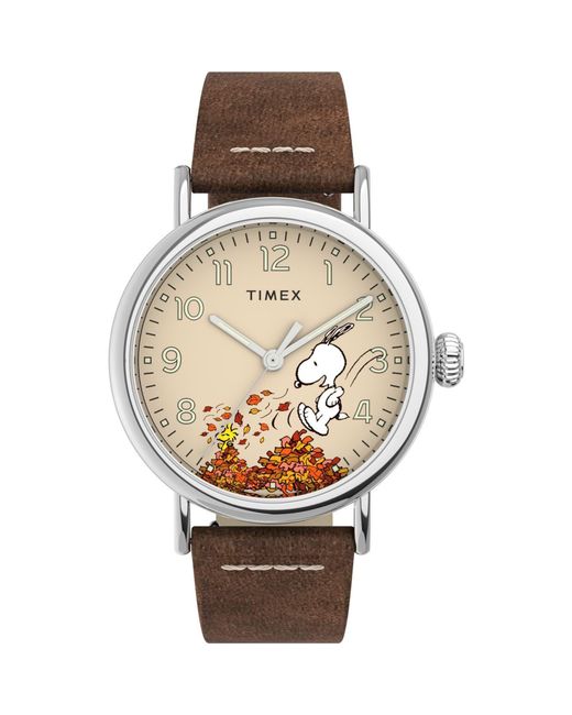 Timex Analoguhr Standard X Peanuts Featuring Snoopy Autumn in Metallic für Herren