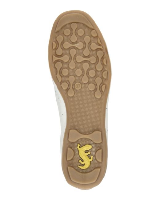 Salamander White Sneaker