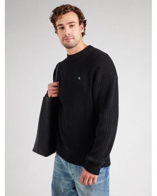 Calvin Klein Pullover in Blue für Herren