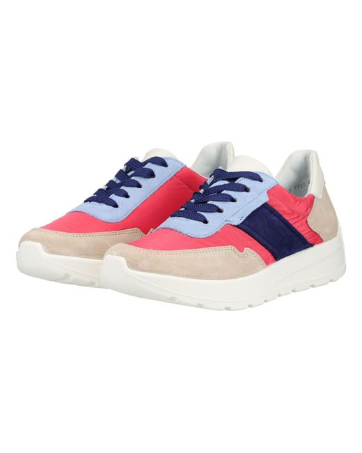Ara Blue Sneaker