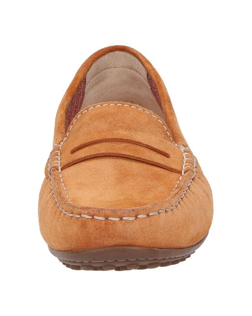 Sioux Brown Slipper Cacciola