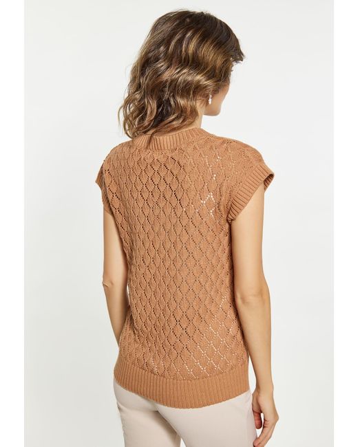 Usha Brown Pullover