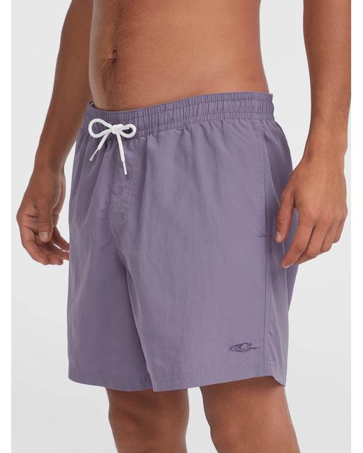 O'neill Sportswear Oneill Badeshorts Vert 16 in Purple für Herren