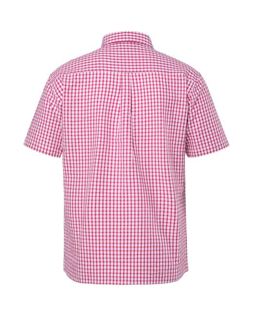 Men Plus Hemd in Pink für Herren